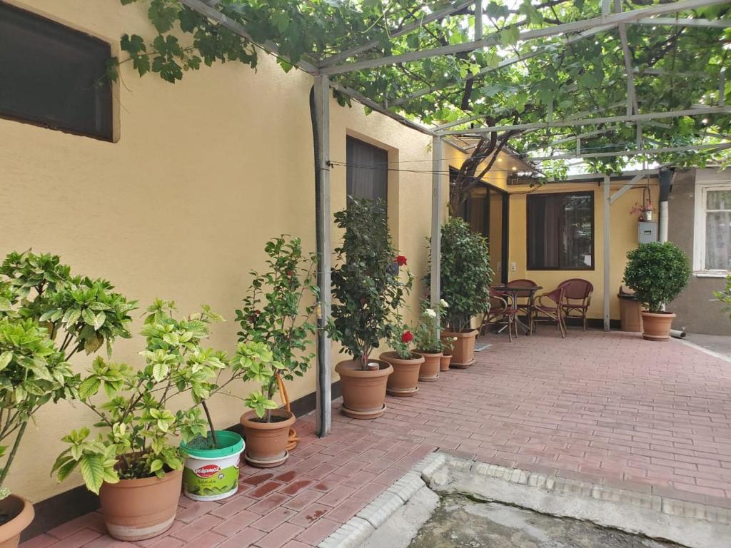 Lasha Apartment room 2