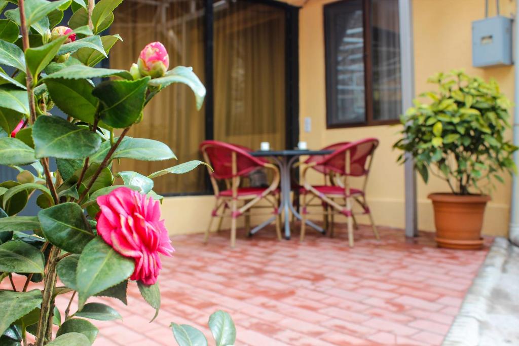Lasha Apartment room 5